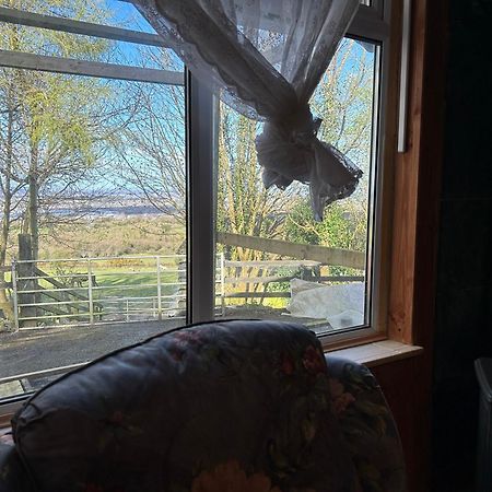 Cozy Room In A Barn With Farm View Dublín Exterior foto