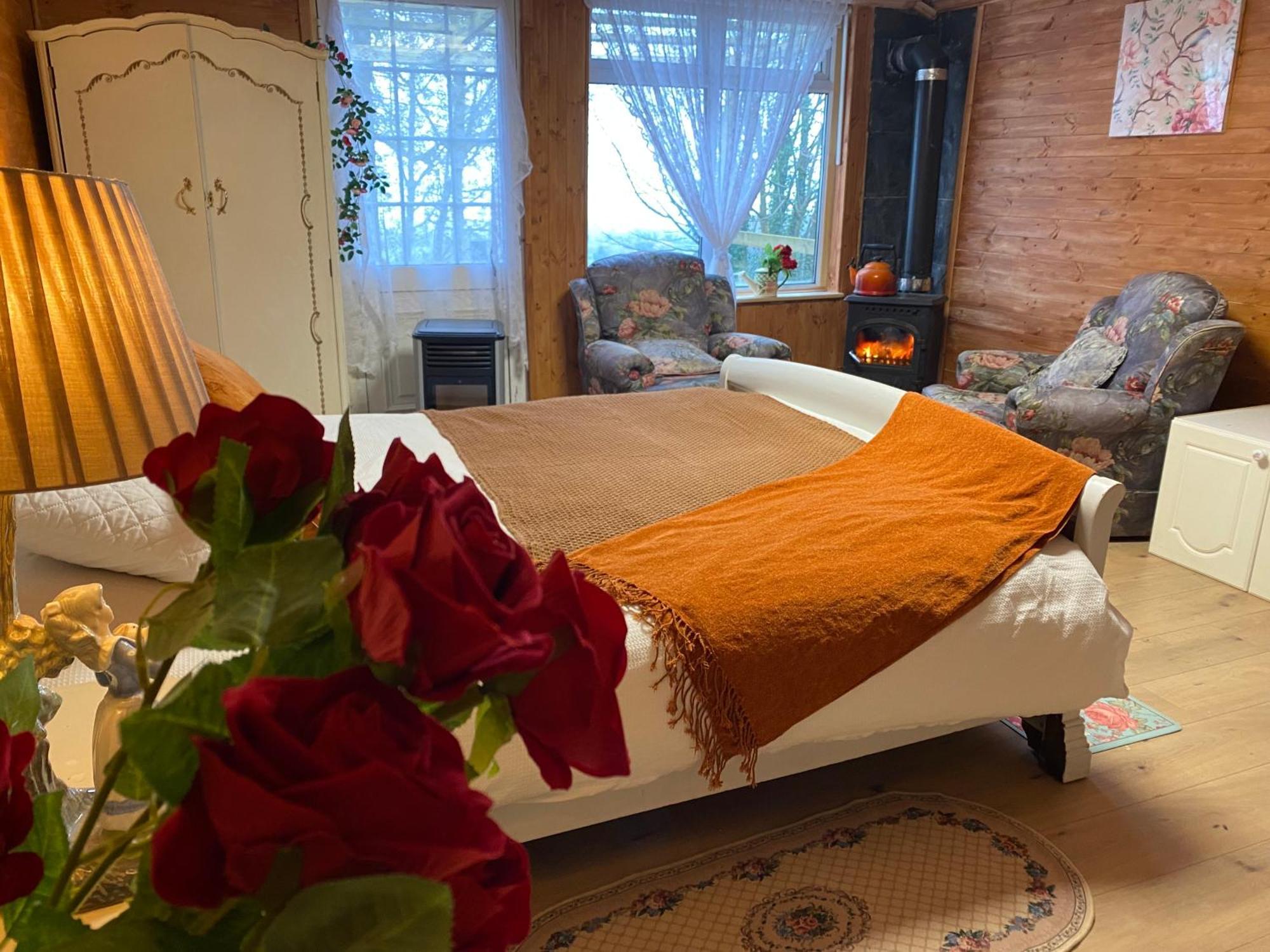 Cozy Room In A Barn With Farm View Dublín Exterior foto